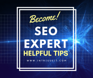 seo experts in dallas